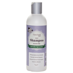 All Natural Hair Shampoo