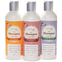 All Natural Hair Shampoo