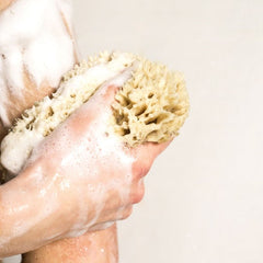 Organic Botanical Hand & Body Wash