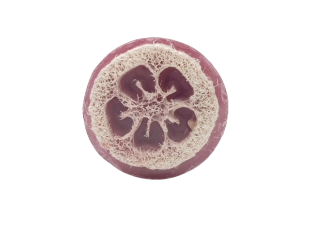 Cranberry Pomegranate Loofah Soap
