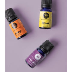 The Starter Essential Oil Collection